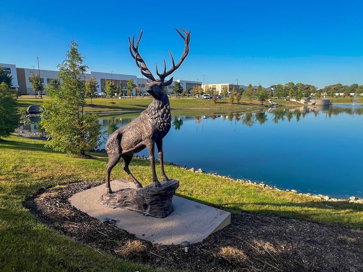 Park lake elk C3 f